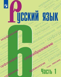 Русский родной язык 6 класс.
